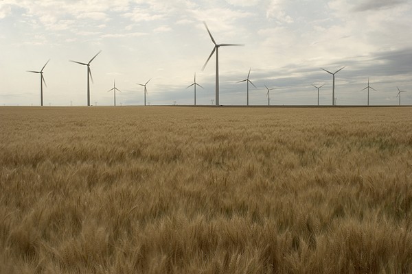 Wind Generators and wheat field