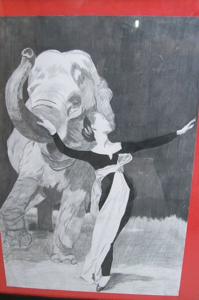 Elegant Elephant