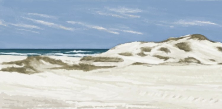 South Padre Island Dunes