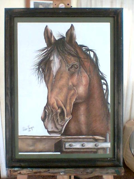 caballo 2