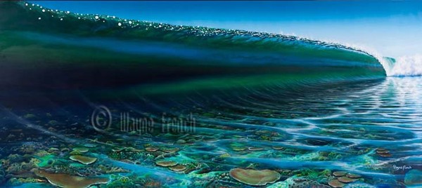 Reef Visions