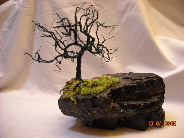 Oak Tree on Coal