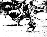 BULL 4