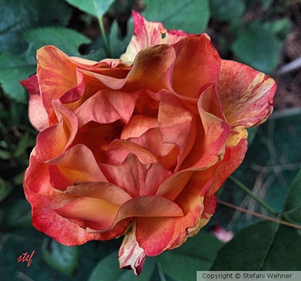 beauty of imperfection