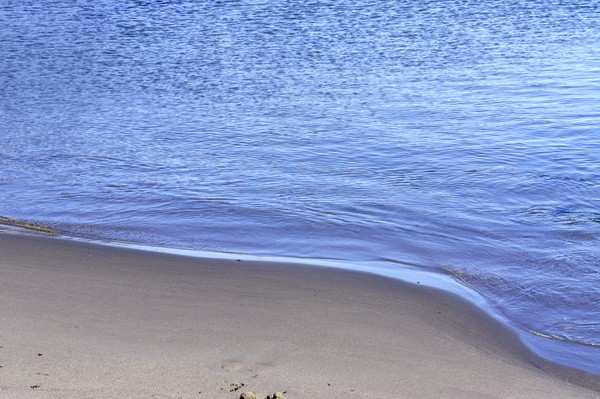 Water's Edge