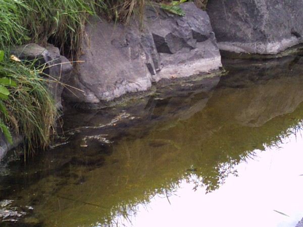 park stream