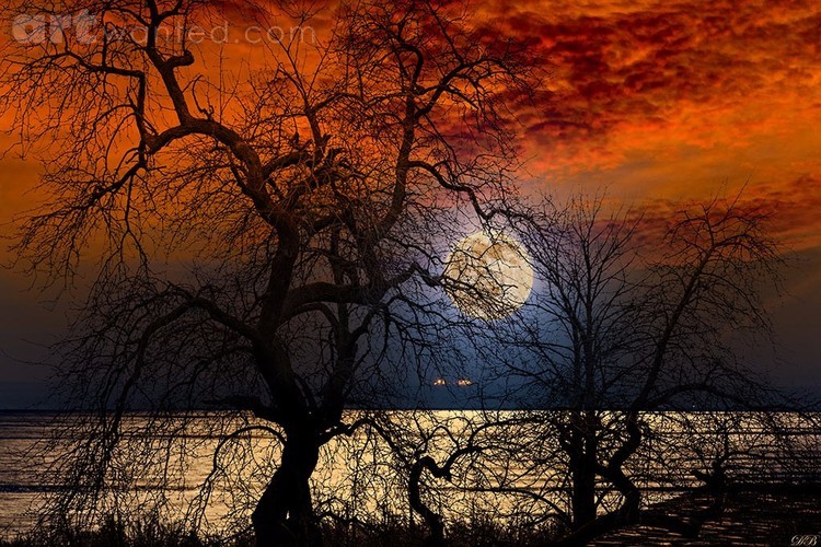 Scene from a Dream