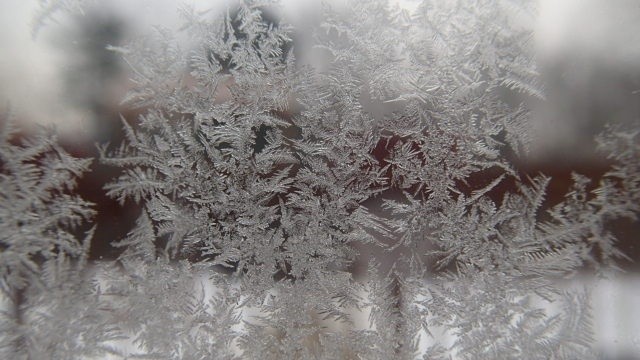 P2070009