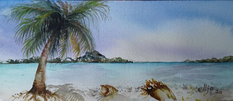 Bora Bora dream vision