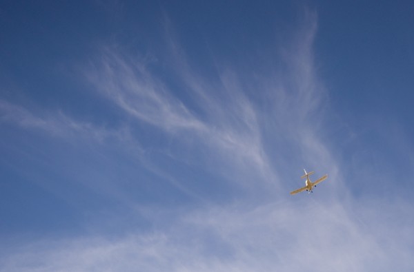 fly too blue sky