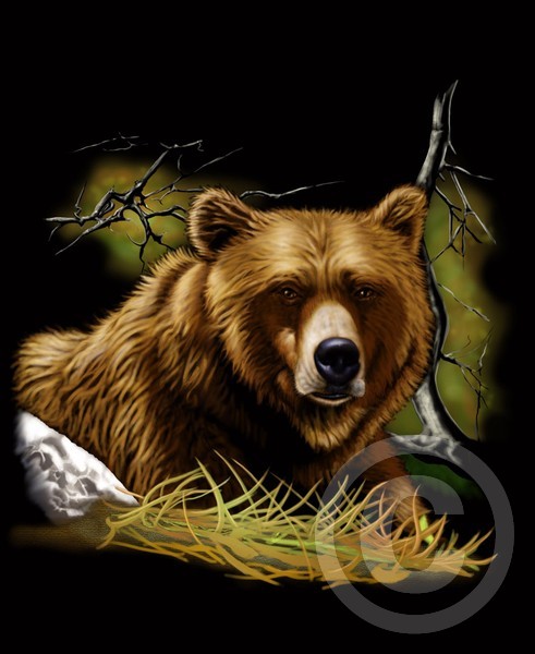 bear©