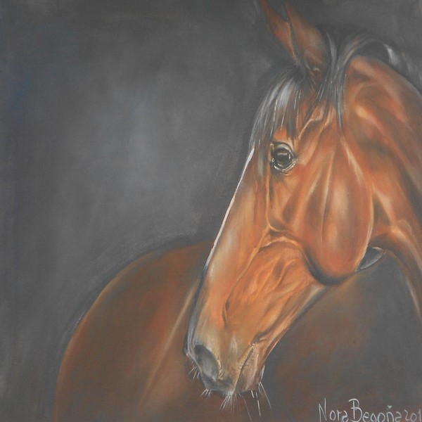 Thoroughbred