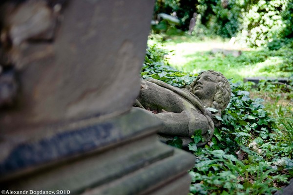 Old cemetery