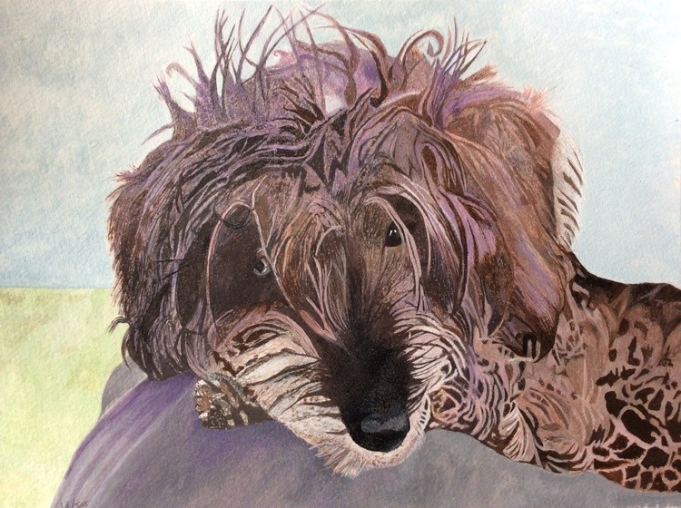 Myrtle a long haired Daschound