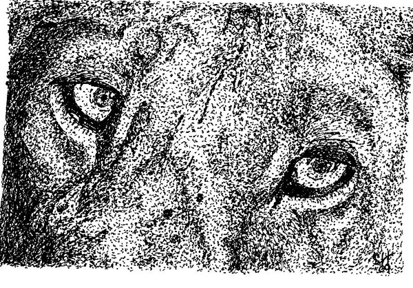 lionface