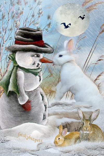 Rabbit Discovers Snowman's Nose