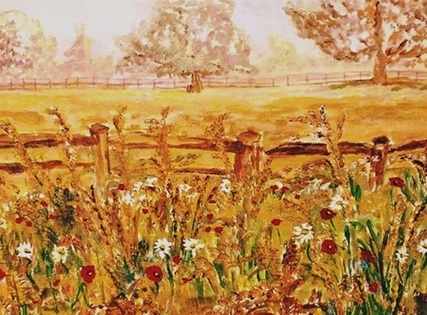 Prince Of Wales Wild Flower Fields