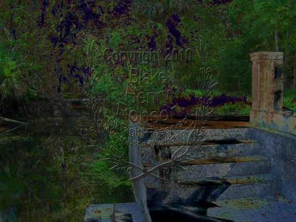 Tropical Stream Steps Ruins Holly Hill Fl.