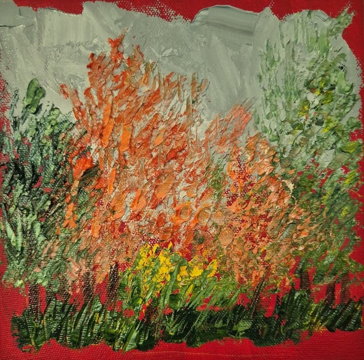 Automn in Scotland, August 2024