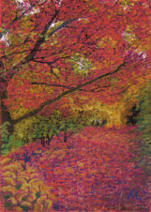 Westonbirt Red