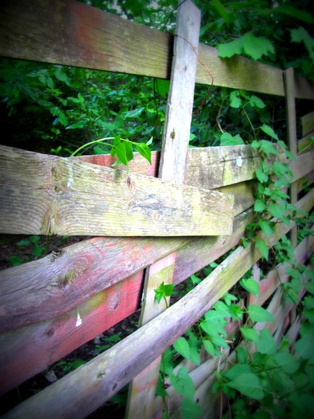 I've come to find you.