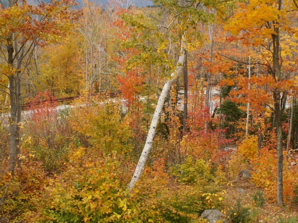New England in the Fall