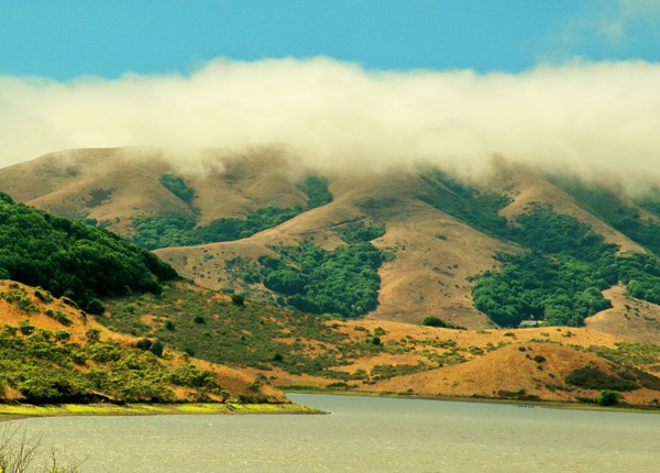 Nicasio Lake with Fog