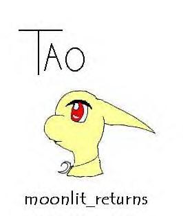 Tao,my yellow shoyru on Neopets