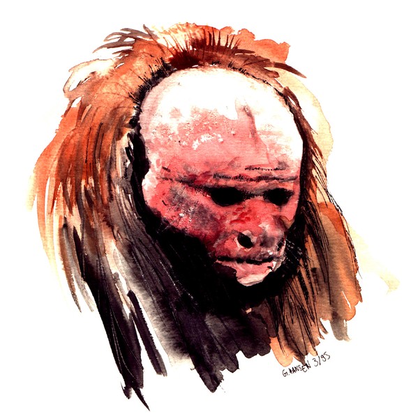 Monkey