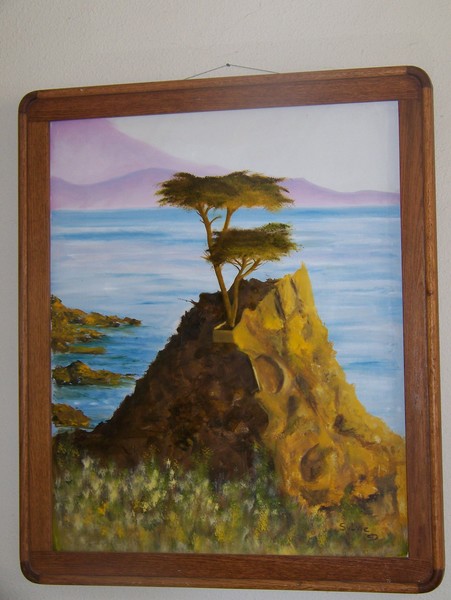 lone cypress