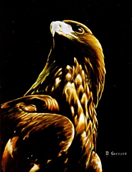Big bird