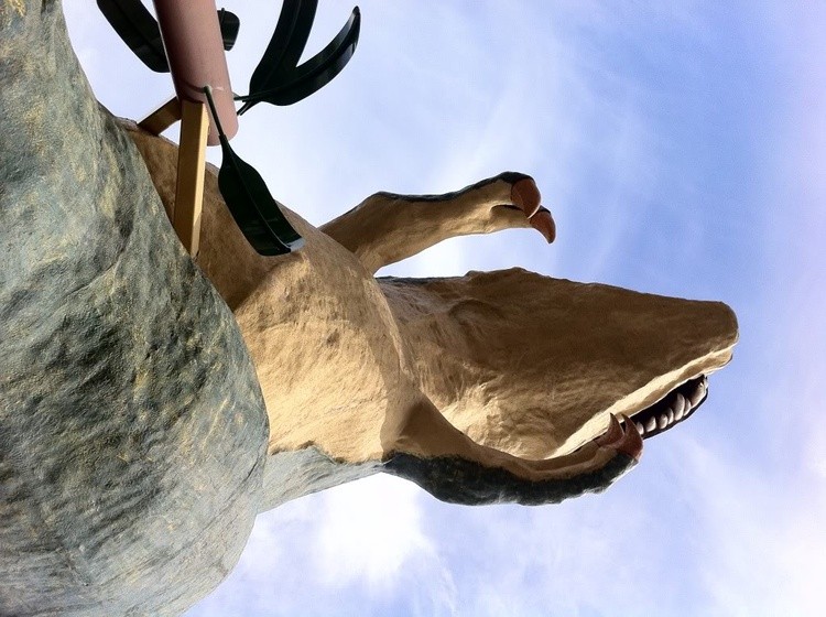 World's Largest Dinosaur