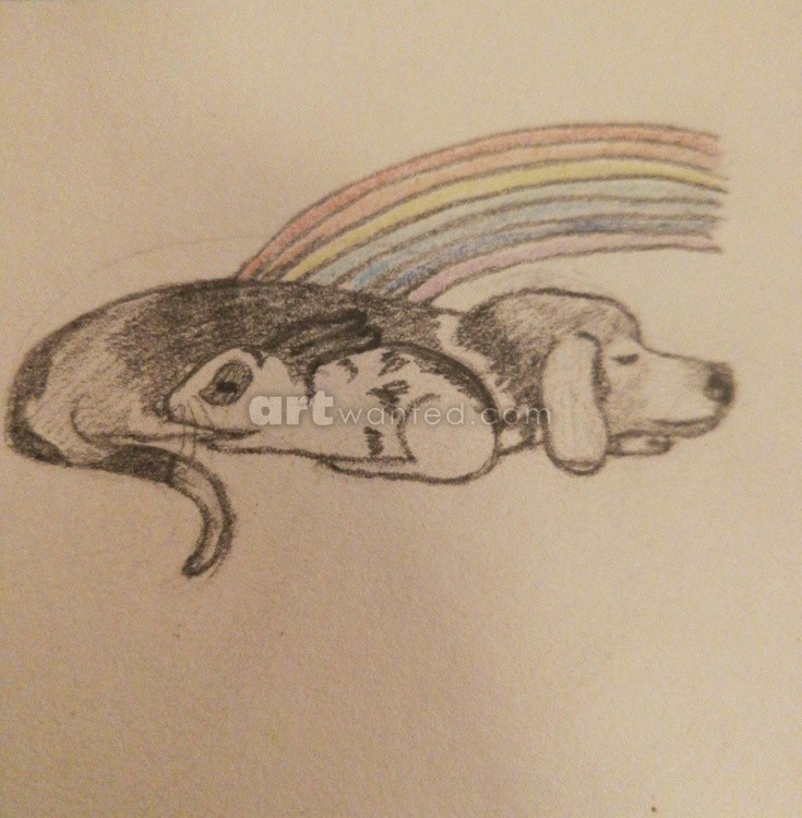 Puzzle and Sammi Crossing the Rainbow Bridge