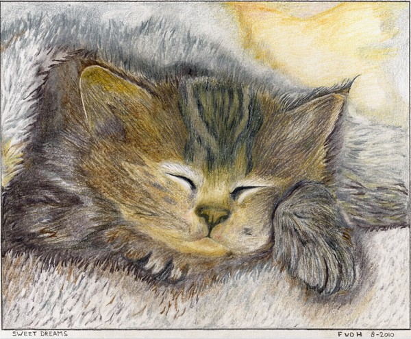 Sweet Dreams
