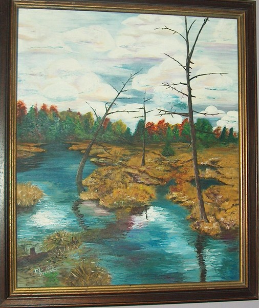 swamp