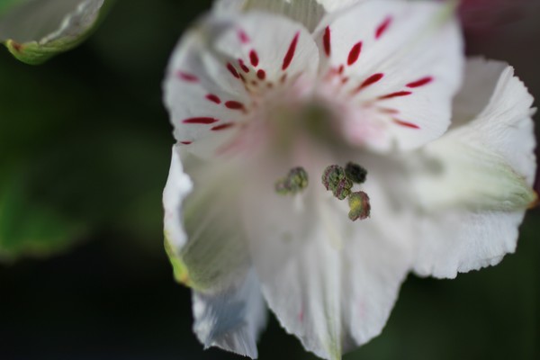 20120302 4