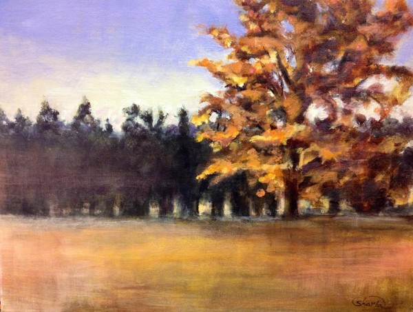 Autumn Against the Pines
