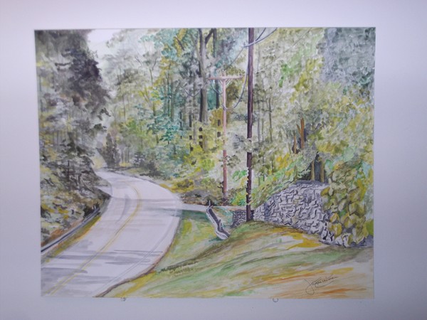 ROAD IN THE WOODS