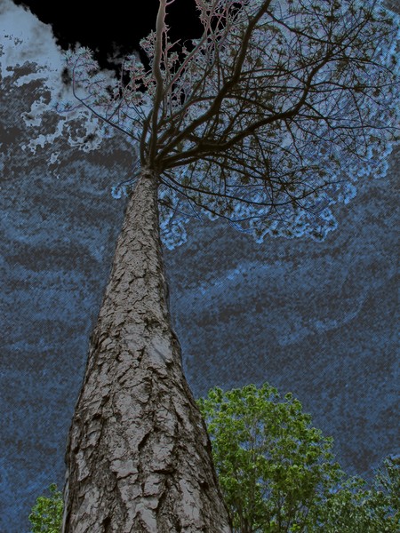 Fresco Fantasy