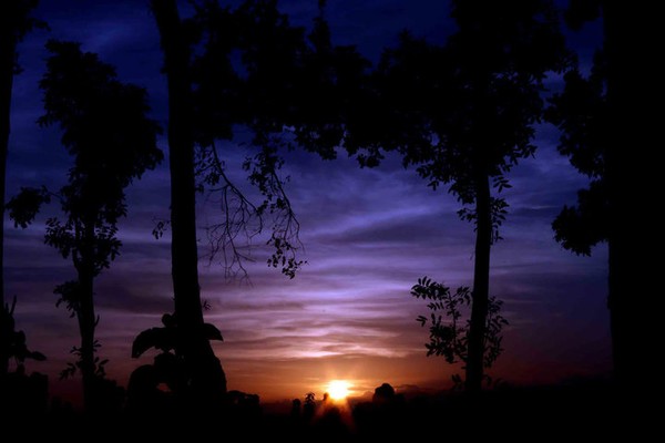 sunset hutan jati