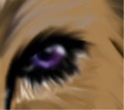 Close up of eye