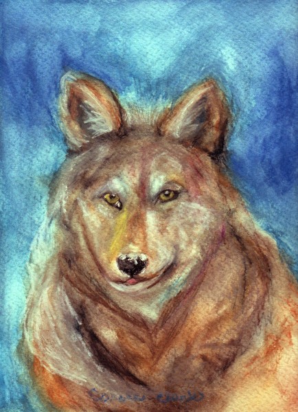 Snow Wolf