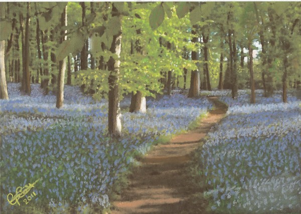 Pathway through a sea of blue