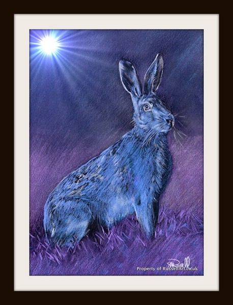 Night Hare