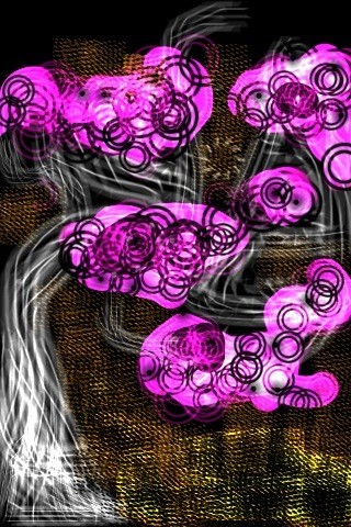 Fuschia Fusion