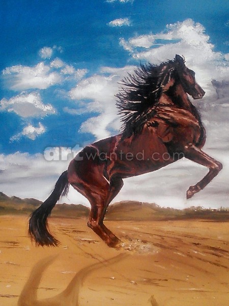 Mustang Freedom in God's country