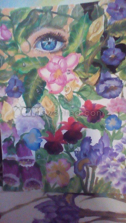Bayleighs garden