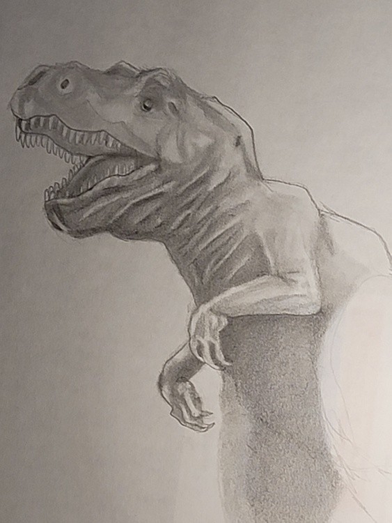 Resized tyranosaurus 10