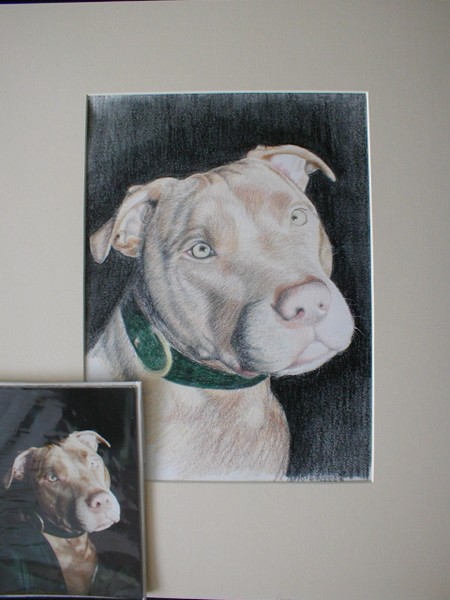 The guard dog