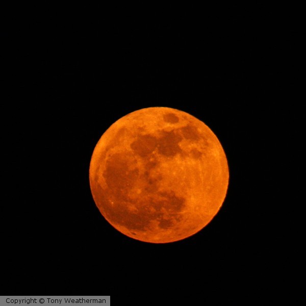 You Been MOONED !ne1117